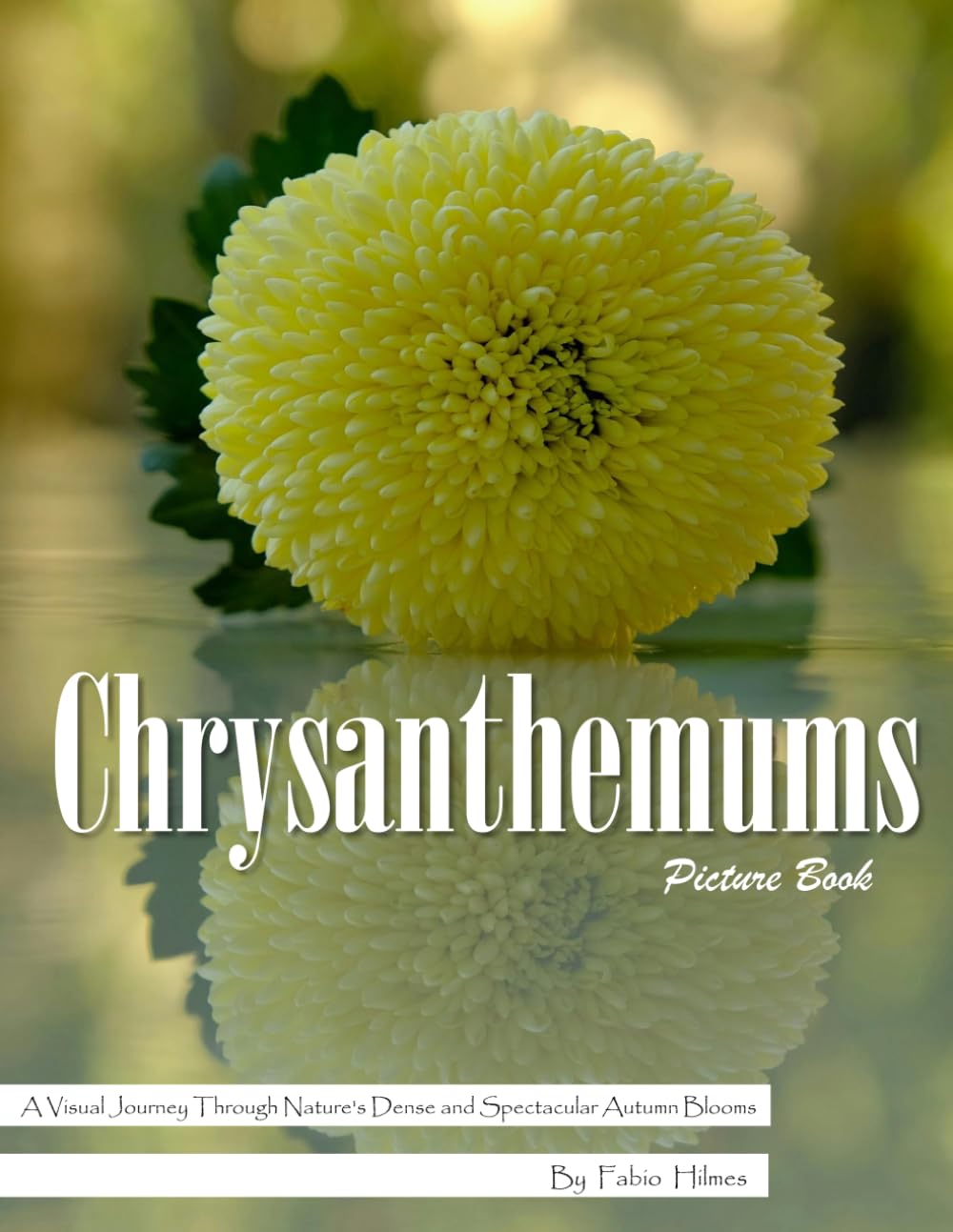 Chrysanthemums: A Stunning Visual Celebration of Autumn's Most Beautiful Flower – with a Beginner's Guide to Growing Chrysanthemums for Seniors, Alzheimer's Sufferers, and Garden Lovers