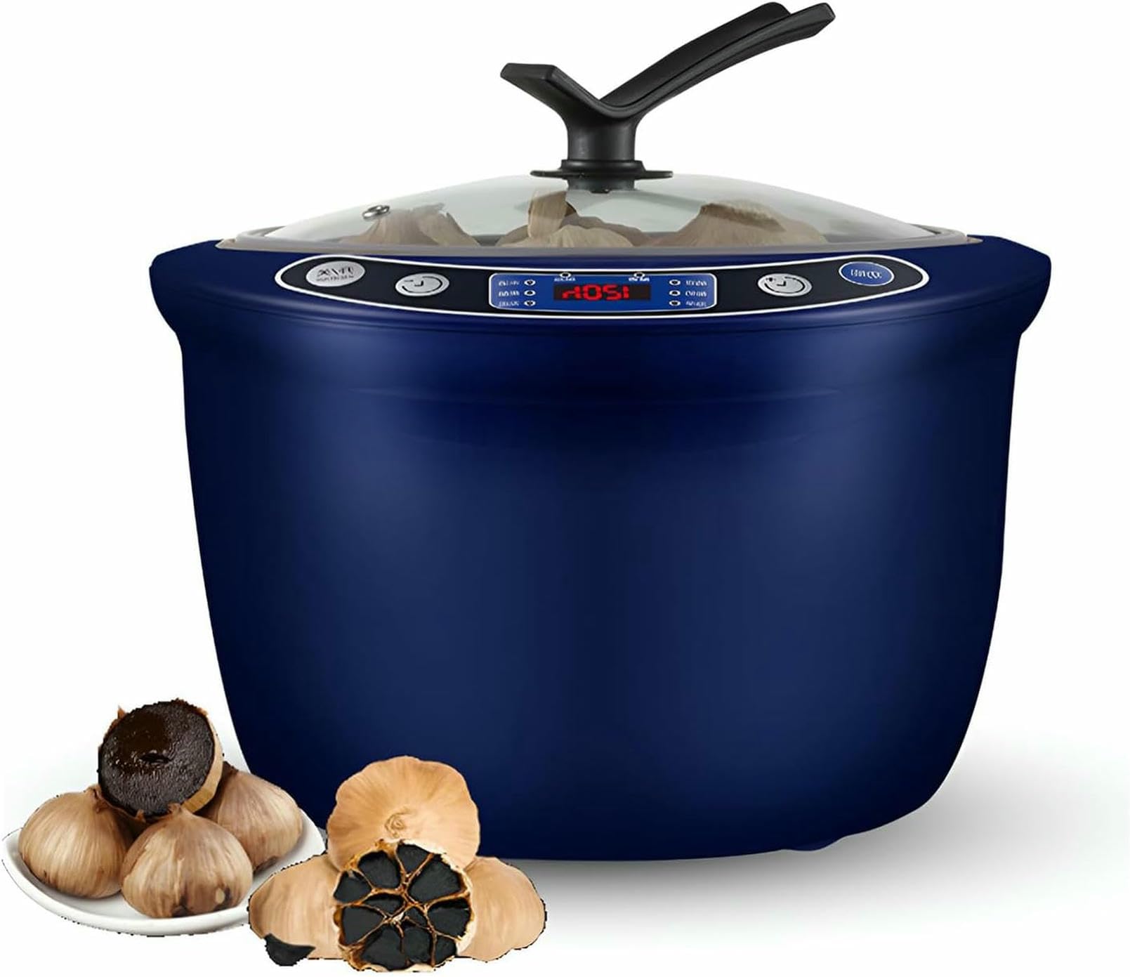 Machine de fermentation d'ail noir électrique 6L avec support inox