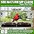 WENMIXER Window Bird Feeder with Non-Marking Self-Adhesive Hooks, Clear Window Bird Feeder for Outside, Transparent Bird House, Outdoor Bird Feeders, Wild Bird Watching Gift, Garden Decor