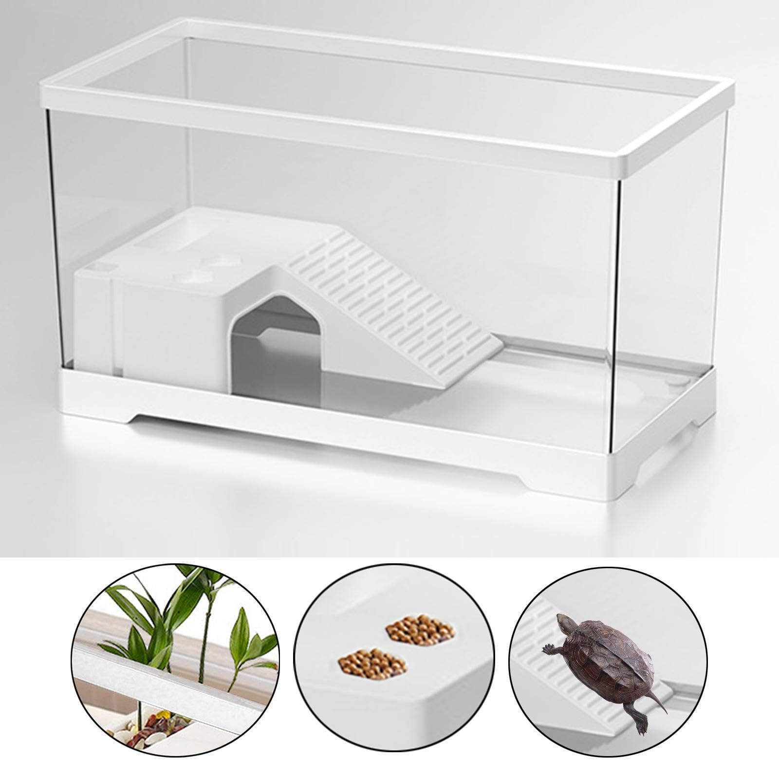 Acuario Tortuga Terrario Recipiente Basking con de Alimentación Y Diseñado para Tortugas Terrapines Anfibios Y, Grande, Individual