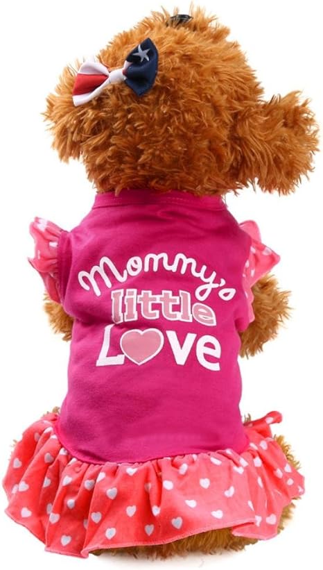 pomeranian 12 weeks old