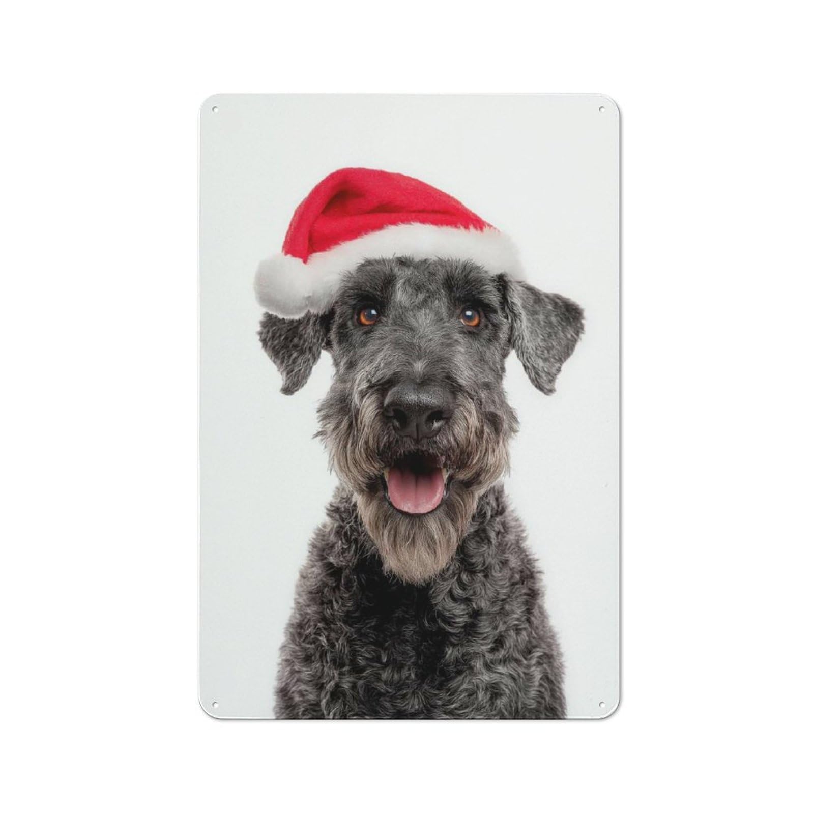 Junmoney Kerry Blue Terrier Dog With Santa Hat On Whit For Man Cave Or Games Room, E Retro Tin Sign 30X20cm, A Christmas Gift For People Styling Man Cave And Games Room