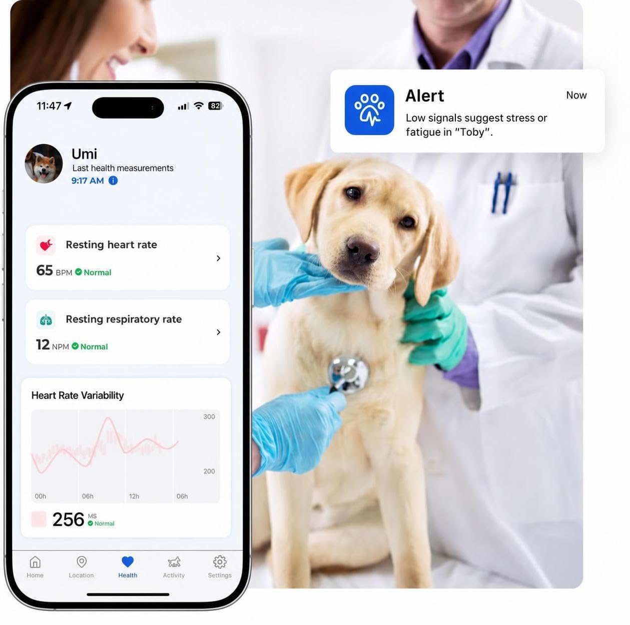 Invoxia Biotracker Edizione 2026 GPS Salute per Cane