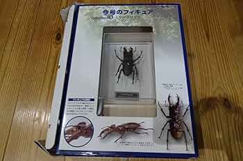 クワガタ　カブトムシ　標本セット 多数　デアゴスティーニ クワガタ標本 模型 9体セット(おまけ冊子付き) - メルカリ