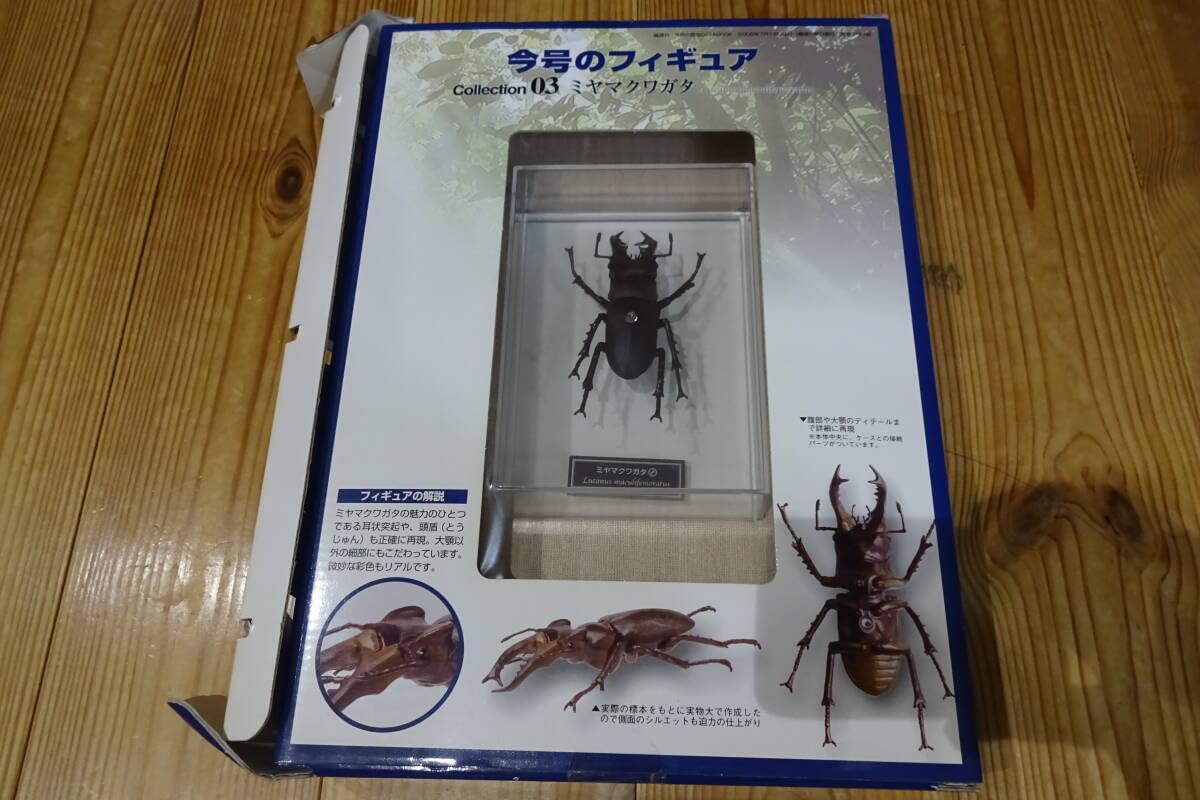 Amazon.co.jp: ミヤマクワガタ デアゴスティーニ 世界の昆虫