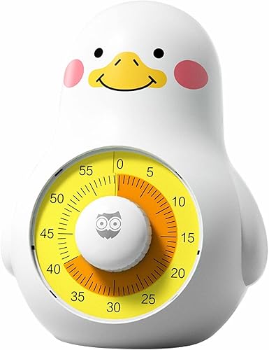 NUOSWEK Bonito temporizador visual recargable, temporizador de cocina de cuenta regresiva de 60 minutos, temporizador de estudio silencioso para