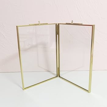 専用ページ　エーデルワイス額縁① ②ハーバリウム （植物標本）アートフレーム2個 専用ページ エーデルワイス額縁① ②ハーバリウム （植物標本