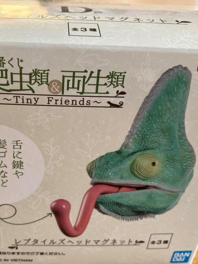 幸せを呼ぶハート柄♡ヘビの抜け殻 w 293蛇の抜け殻アート 蛇