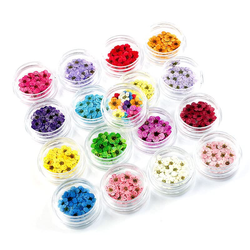 Flores Secas Naturales, 20 piezas para decoración miniatura 3