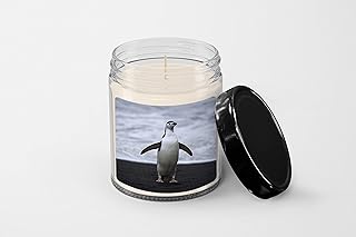 Chinstrap Penguin pygoscelis antarcticus at Seashore Candle, Soy Wax Candle, Birthday Christmas Gift Idea
