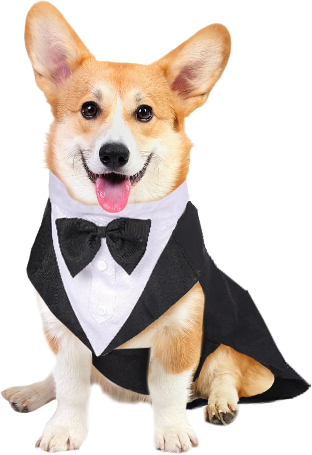 Disfraz de Esmoquin con Corbata y Pañuelo para Perro - Negro Talla M