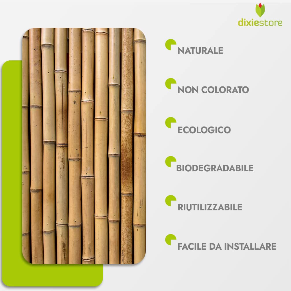 Bastoncini Di Bambù Per Piante | Set Da 50 Pali Resistenti Per Giardino | 194 Cm X 20-22 Mm | Supporto Per Fiori E Orto - Foto 9