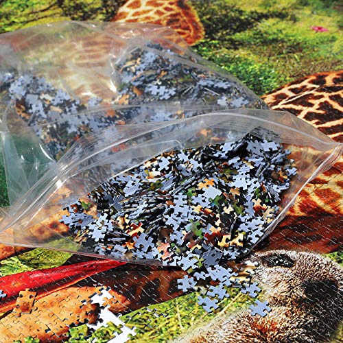 Puzzle 50000 Teile (gesamt 52110). Das erste Puzzle, welches mehr als 50000 Teile hat – Bild 7