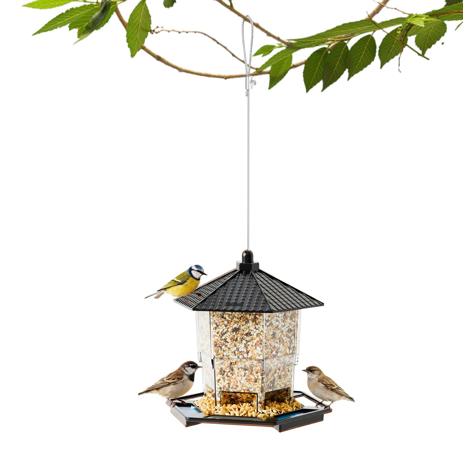 Mangeoire à oiseaux avec plateau de perchoir et système de distribution extérieur