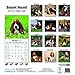 Basset Hound 2014 Wall Calendar