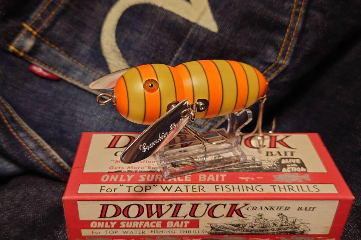 道楽 dowluck アブラゼミ