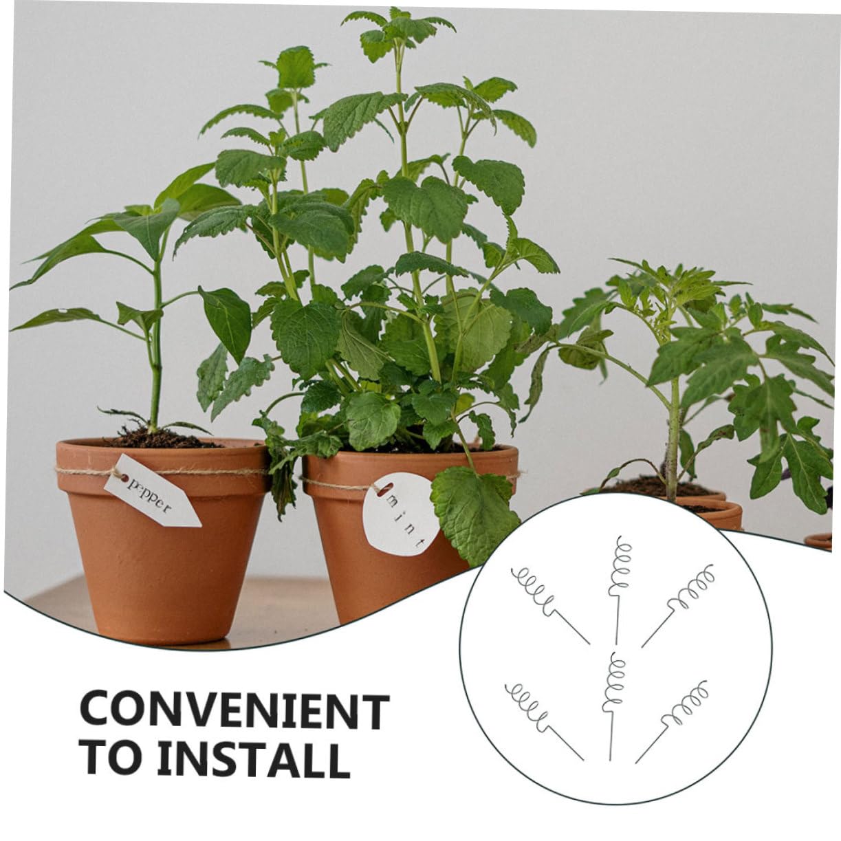 ibasenice Tuteur Spiralé de Support pour Plantes, Lot de 8 en Fer