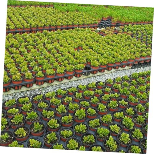 Support pour plateaux de germination plastique noir trous ronds jardinage semis plantes - 6