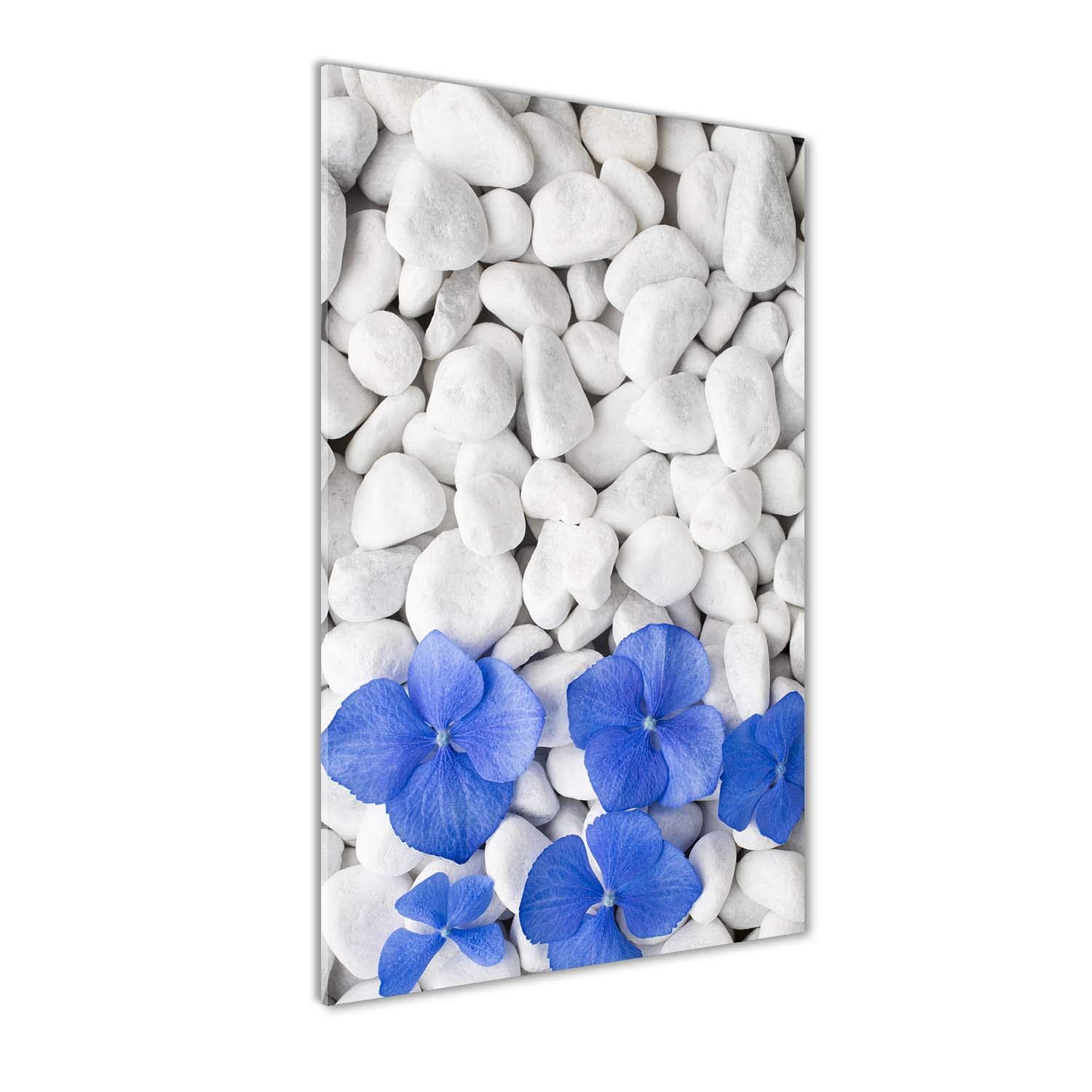 Image sur plexiglas haut de gamme Tulup 50x100 cm design mural chic
