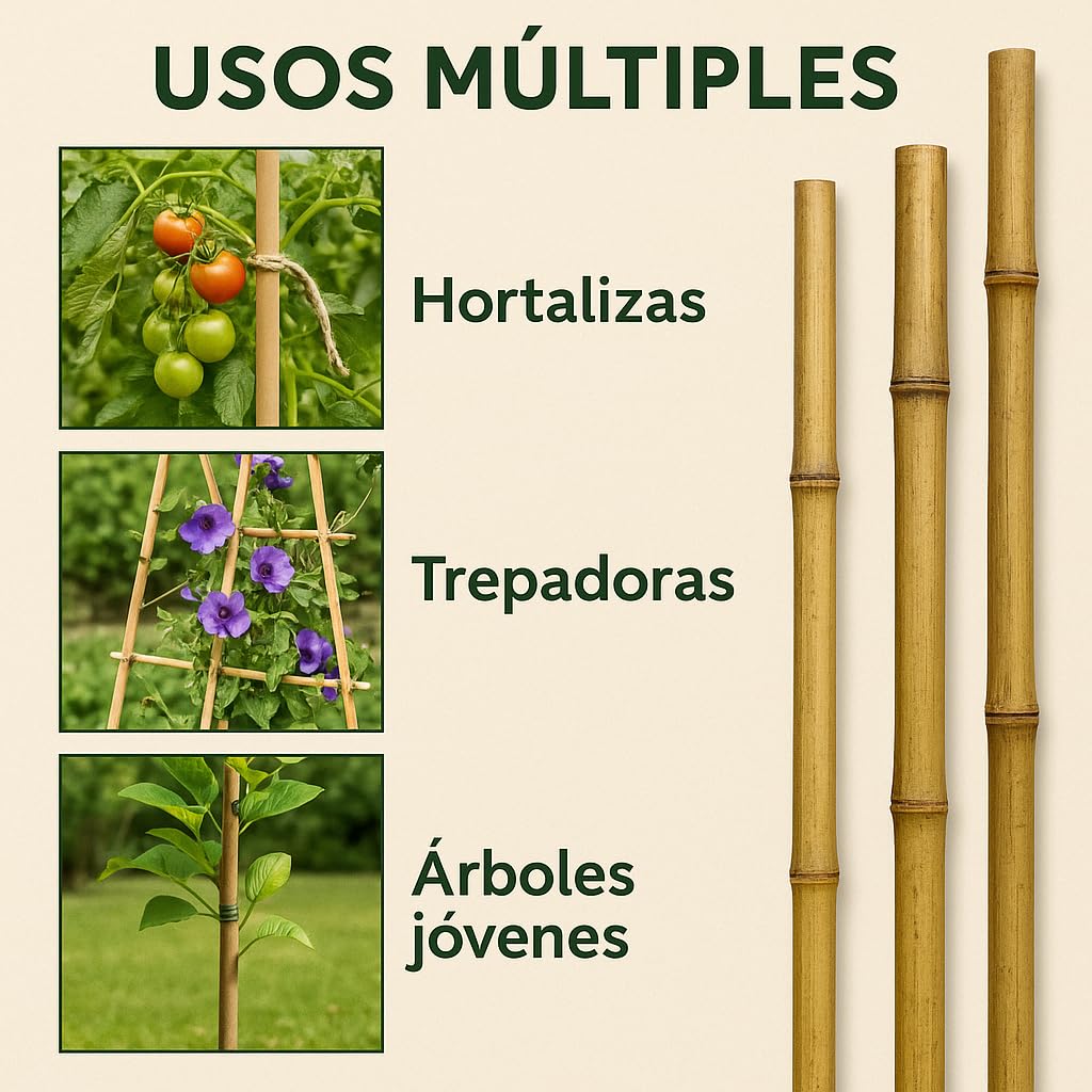 50 Tutores de Bambú 120 cm Ø 10/12 mm | Estacas de Jardín y Cañas para Huerto | Soportes Resistentes para Macetas, Flores y Cultivos | Color Natural | Eco-Friendly