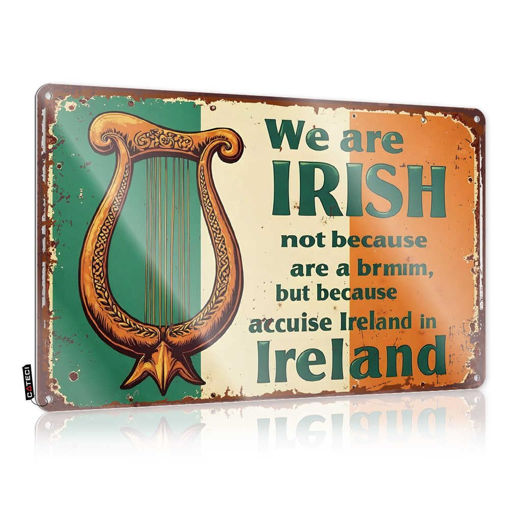 IBWNBBUSN Pool Signs And Decor Outdoor We Are Irish: A Cultural Pride Declaration Tin Sign Metal Tin Sign Retro Mancave Signs And Decor(20X30CM)