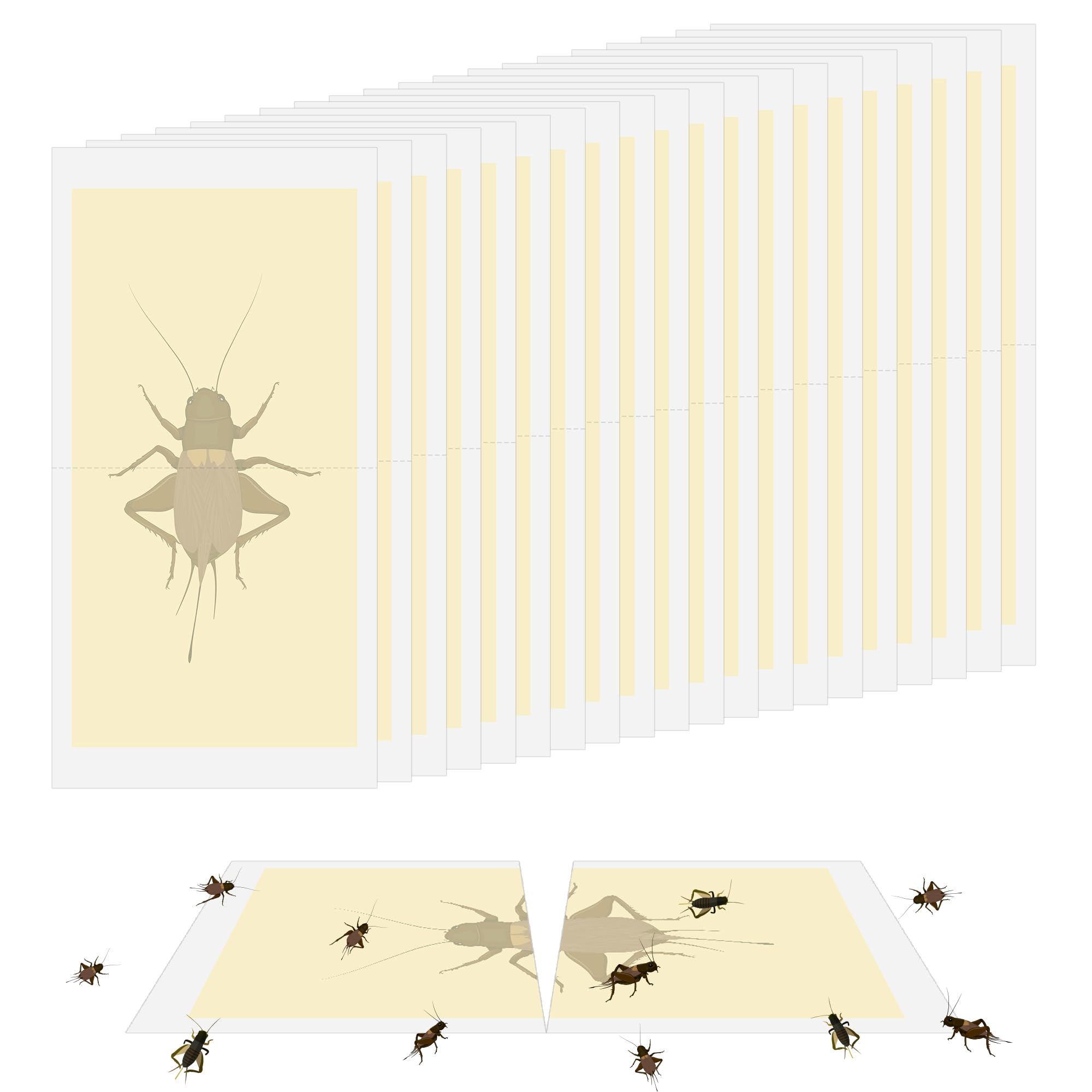 Qualirey Riesige Cricket-Kleberfallen, ungiftig, selbstklebend, für den Innenbereich, für die meisten kriechenden Insekten, Spinnen, Käfer, Skorpion, Kakerlake, Tausendfüßler, 20 Stück