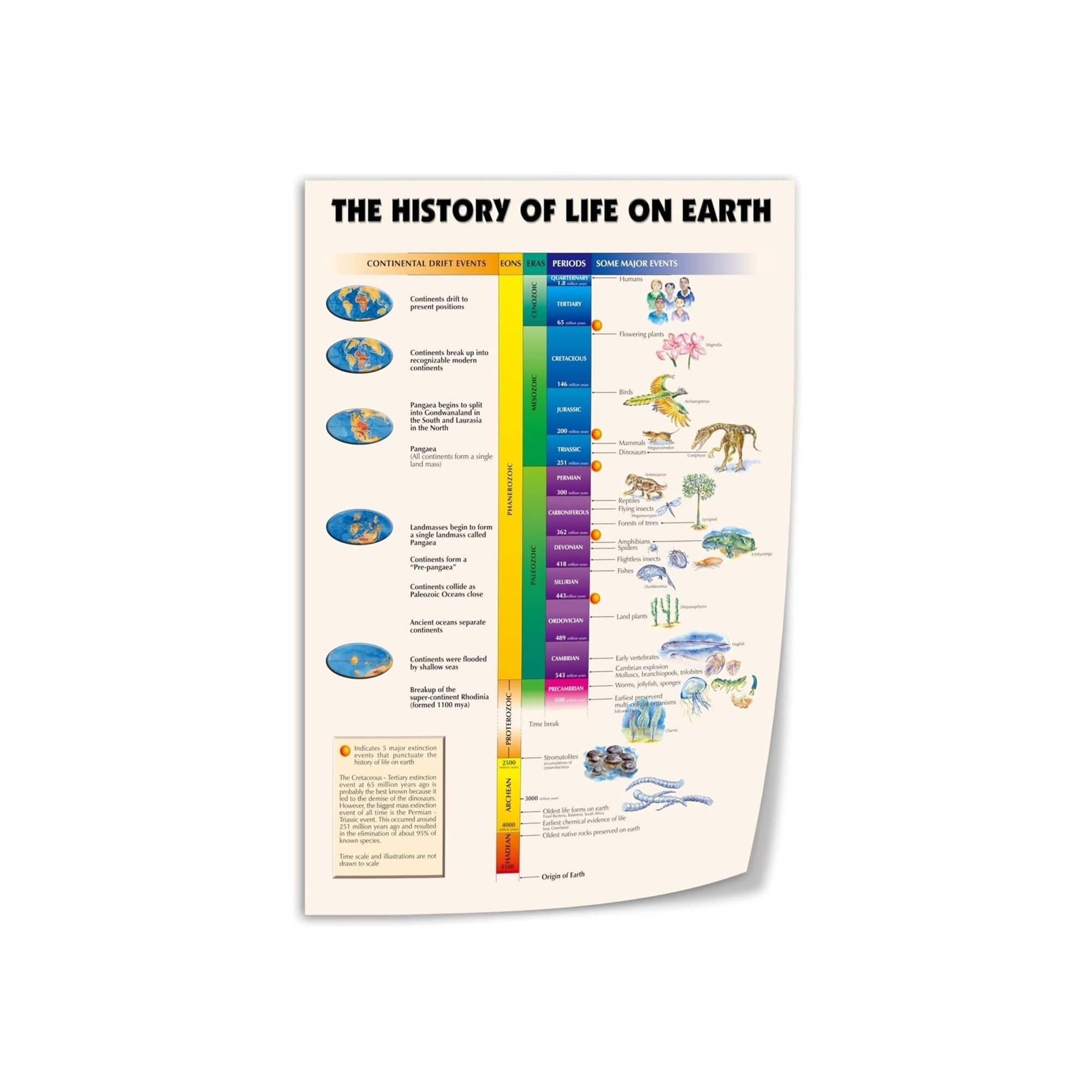 ICYJRFHLTF History of Life on Earth Metal Sign Geological Timeline and Evolution Vintage Science Wall-Art for Classroom Study Office (8 X 12 in)