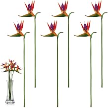 6 Pack Artificial Bird of Paradise, 24.5 Inch Fake Tropical Flower, Long Stem Permanent Flowers, Rubber Strelitzia Faux Plants Bouquet for Indoor Outdoor Home Garden Wedding Party DecorRed