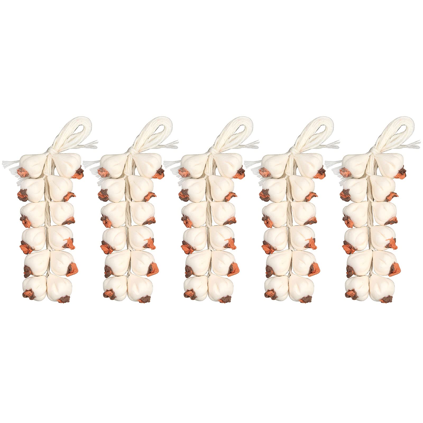 YWLUUOO 5PCS Food Model Lightweight Miniature Vegetable Garlic Model Decorative Fine Workmanship Vegetable