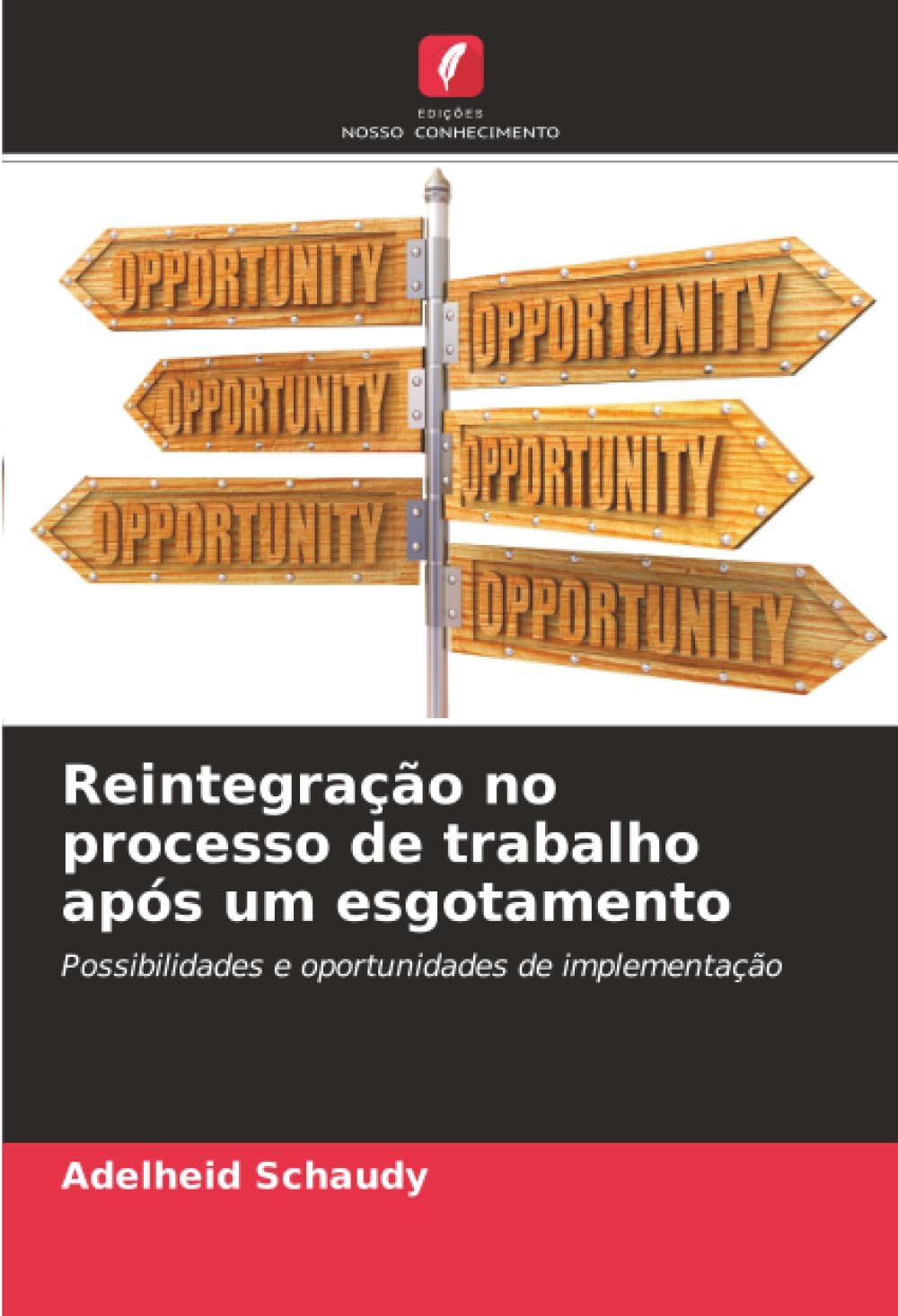 Reintegração no processo de trabalho após um esgotamento: Possibilidades e oportunidades de implementação