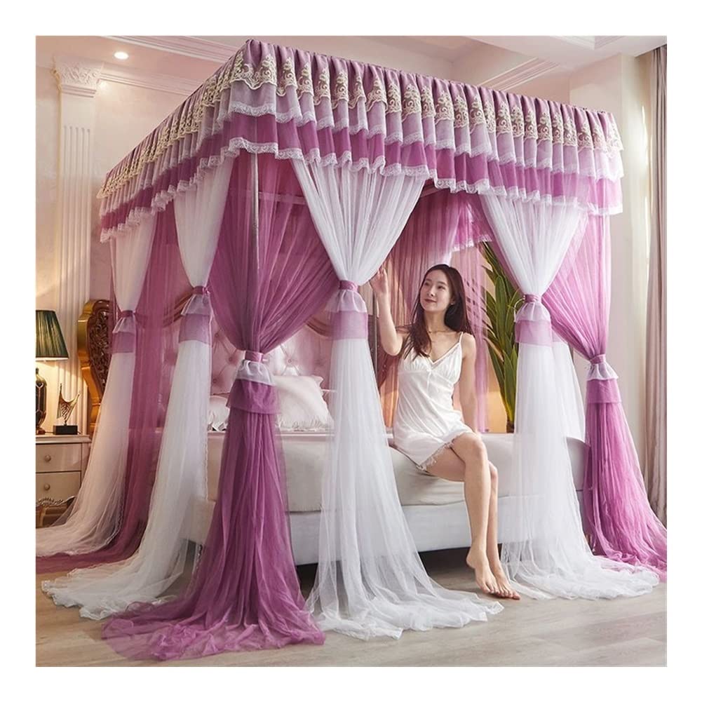 Cortina de Cama con Dosel de 4 Esquinas, Cortina de Cama con Dosel de Encaje Bordado de Princesa con Volantes, Cortina con Dosel para Cama para Adultos y Adultos, mosquitera de Malla transpa