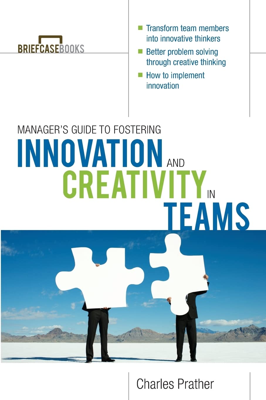 The Manager's Guide to Fostering Innovation and Creativity in Teams (Briefcase Books Series)