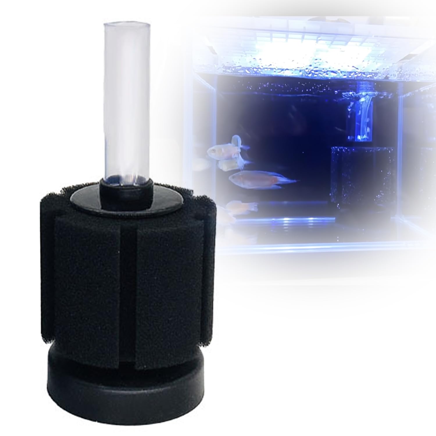 フィルター・ポンプ・ろ材 mycr Amazon | スポンジフィルター 水槽 スポンジフィルター 投げ込み