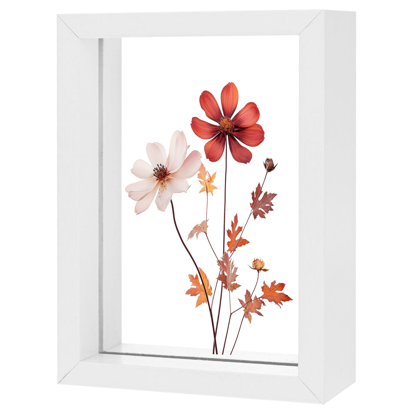 M METERXITY Wooden Pressed Flower Frame, 3.5 x 5 Inch Double Acrylic Floating Picture Frame for Dried Flowers/Tabletop/DIY/Handicrafts [White]