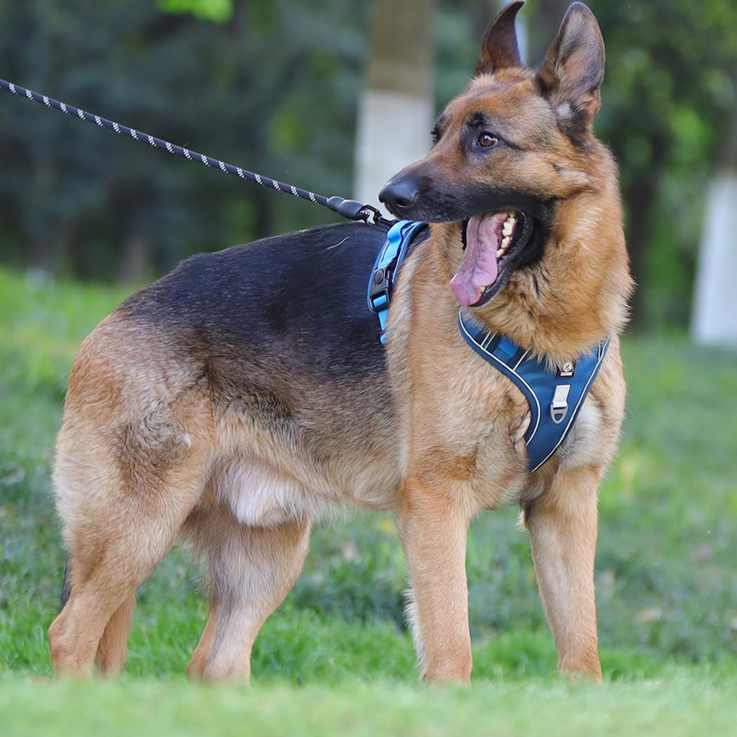 Dog Harness with Handle Tactical,No Pull Adjustable Reflective Military Dogs Vest for Labrador Retriever,Husky, German Shepherd Dog (Sky Blue, Middle)