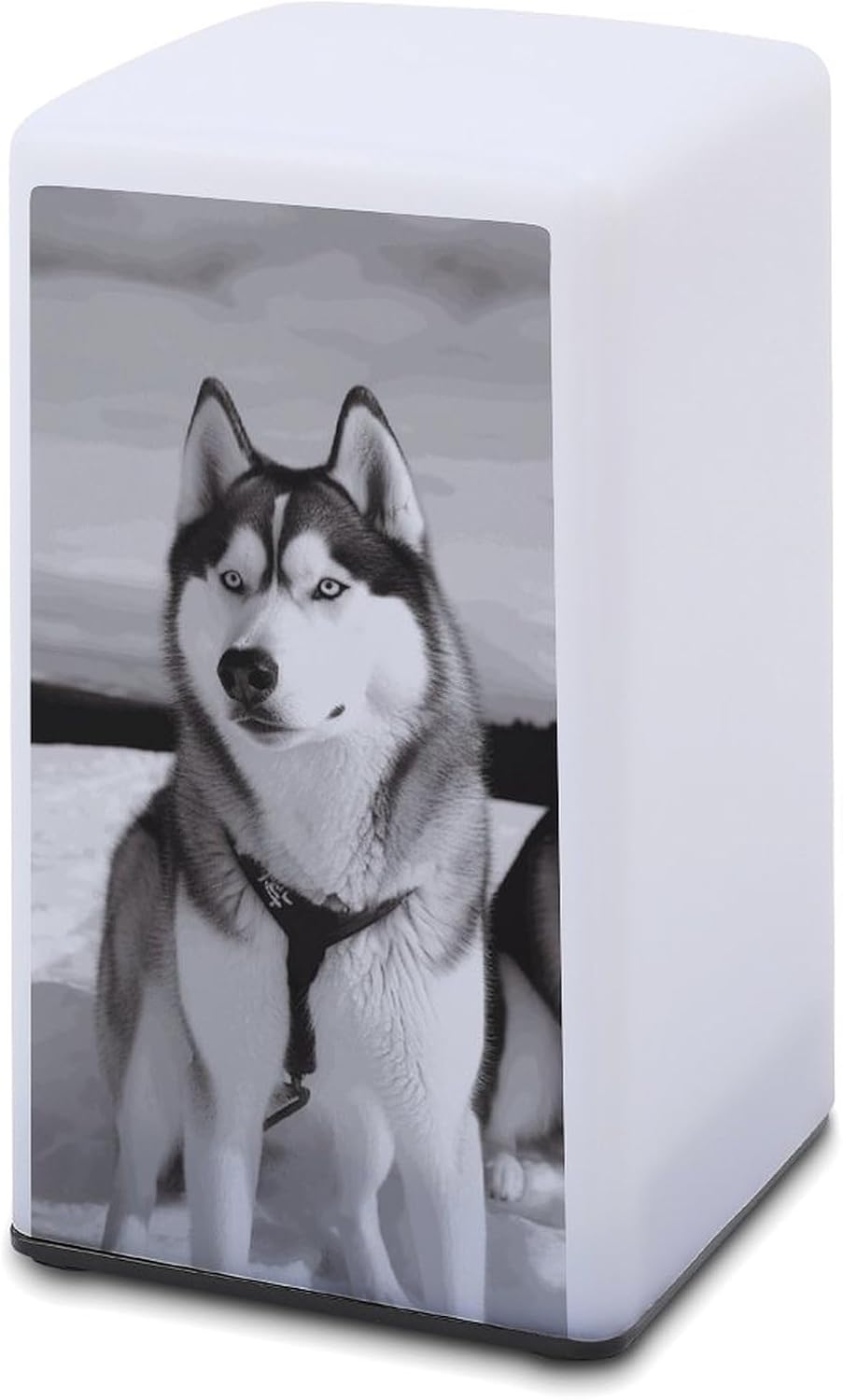 Desk Lamp for Office Home Dimmable Small Desk Lamp Husky Dogs Snow Battery Operated Lamp for Reading Study Work