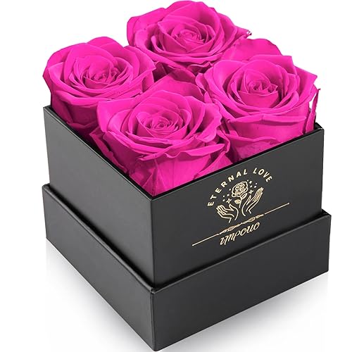 Impouo Rosa preservada, regalos para ella, regalos de cumpleaños para mujeres, regalos para mamá, novia, esposa, abuela, Navidad, cumpleaños, día de