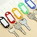 Foxnovo 30Pcs Colorful Key Id Label Tags Split Ring Keyring Keychain (Random Color)