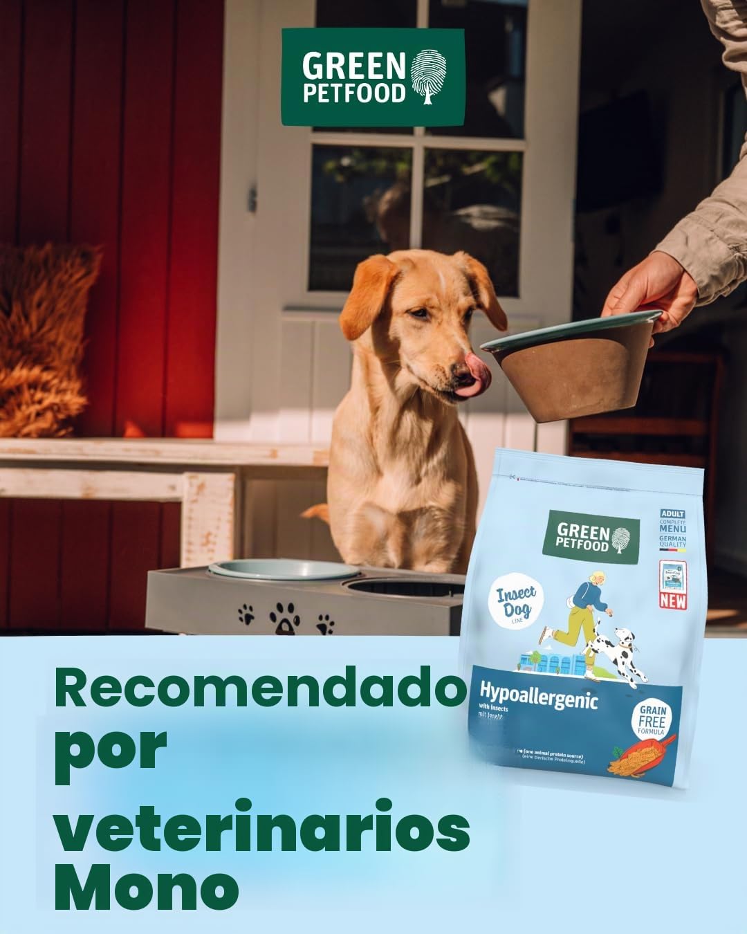 Green Petfood InsectDog Hypoallergen con insectos (1 x 10 kg) | Adulto | alimento seco premium para perros adultos alérgicos | sin cereales | alimento sostenible para perros | calidad alemana | 1 pack