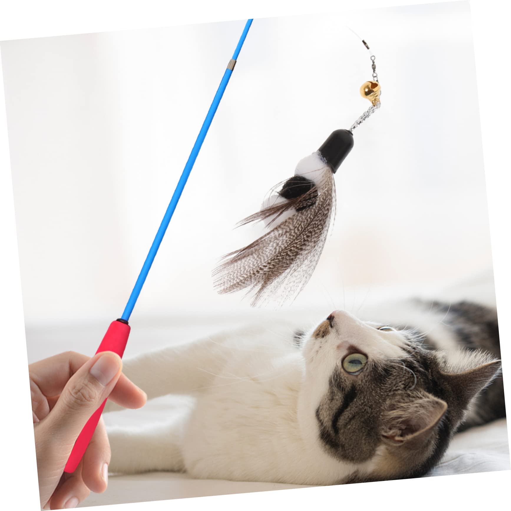 INOOMP Teaser Katze 30 Stk Ersatzkopf Für Katzenangel Nachfüllpackung Für Katzenspielzeug Spielzeuge Angelrute Für Katzen Katzenspielzeug Zauberstab Übungsspielzeug Für Katzen Plastik Insekt Schüttgut