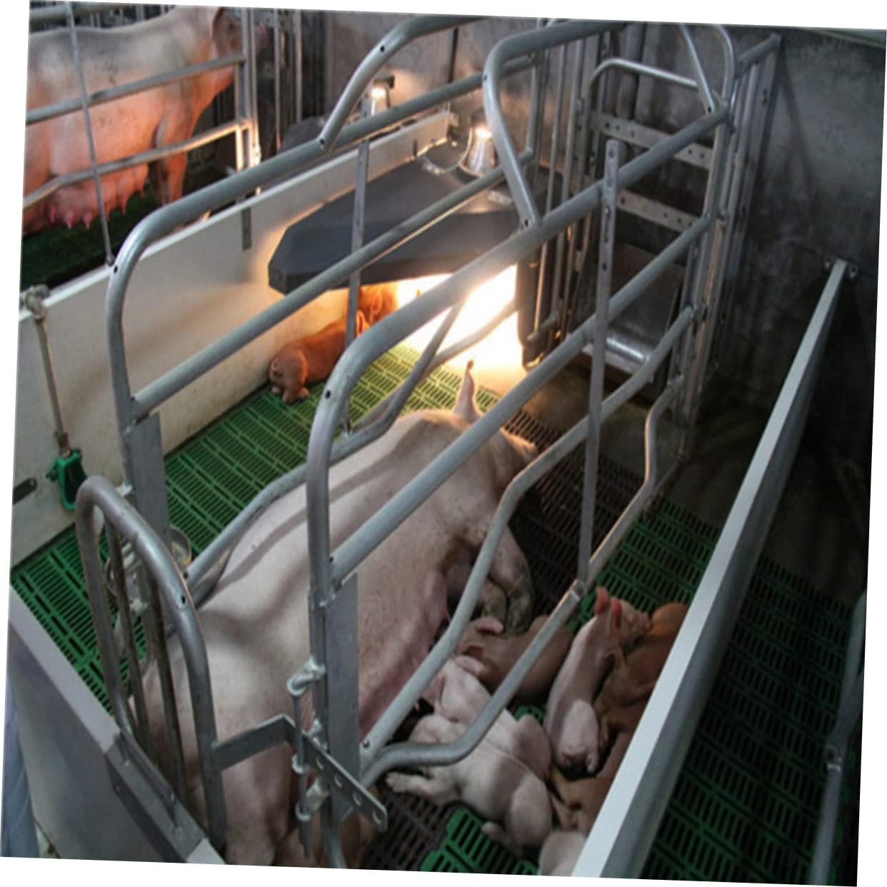 3pcs Bowl Stainless Pig Drinking Bowl Sheep Goat Waterer Automatic Livestock Water Feeder