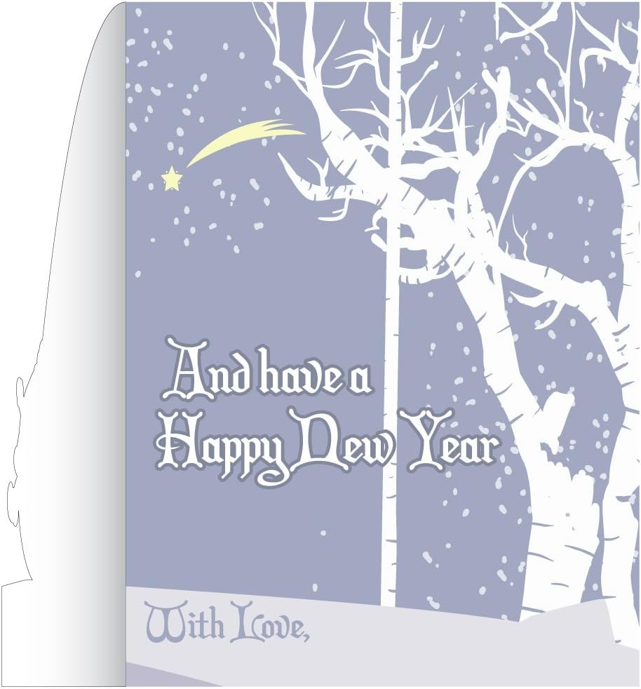 VictoryStore Jumbo Greeting Cards: Giant Christmas Card (Santa Snow), 2 feet x 3 feet Card with Envelope