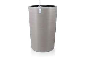 Dexceder Self Watering Planter: Elevate Your Indoor and Outdoor Gardens