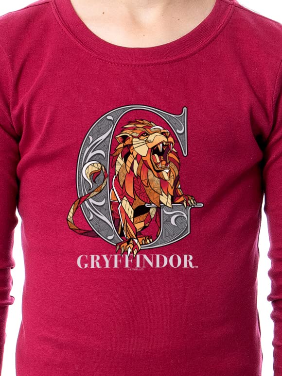 Harry Potter Animals Wizarding World Gryffindor Hufflepuff Ravenclaw Slytherin Character Sleep Tight Fit Family Pajama Set4