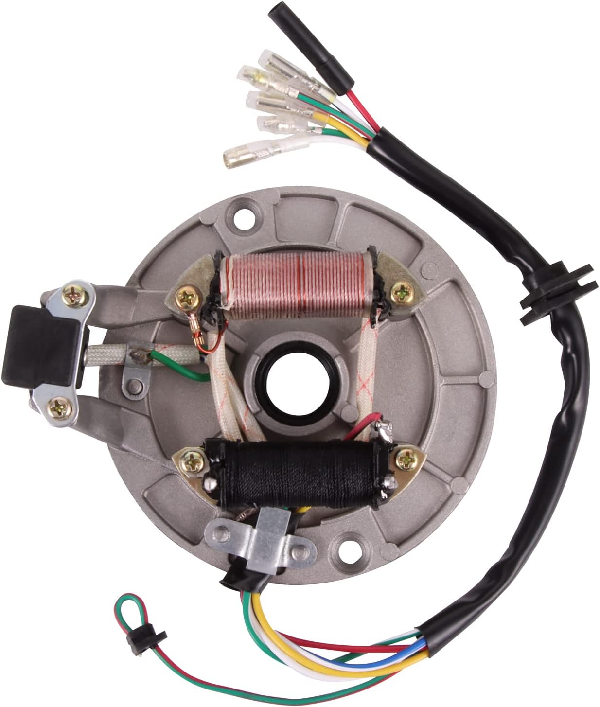 WOOSTAR 2 Coil 6 Wire Ignition Stator Magneto Replacement for Taotao Kazuma SSR 50cc 70cc 90cc 110cc 125cc Dirt Pit Bike ATV 4 Wheeler Quad Go Kart