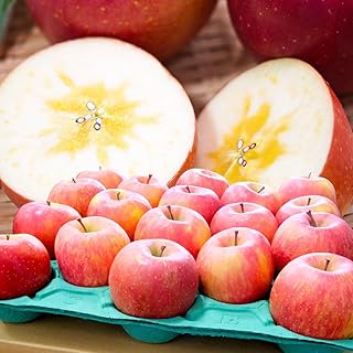 【26年1月～発送】 りんご 平均糖度13度以上！ 葉とらずサンふじ 約5kg 訳あり