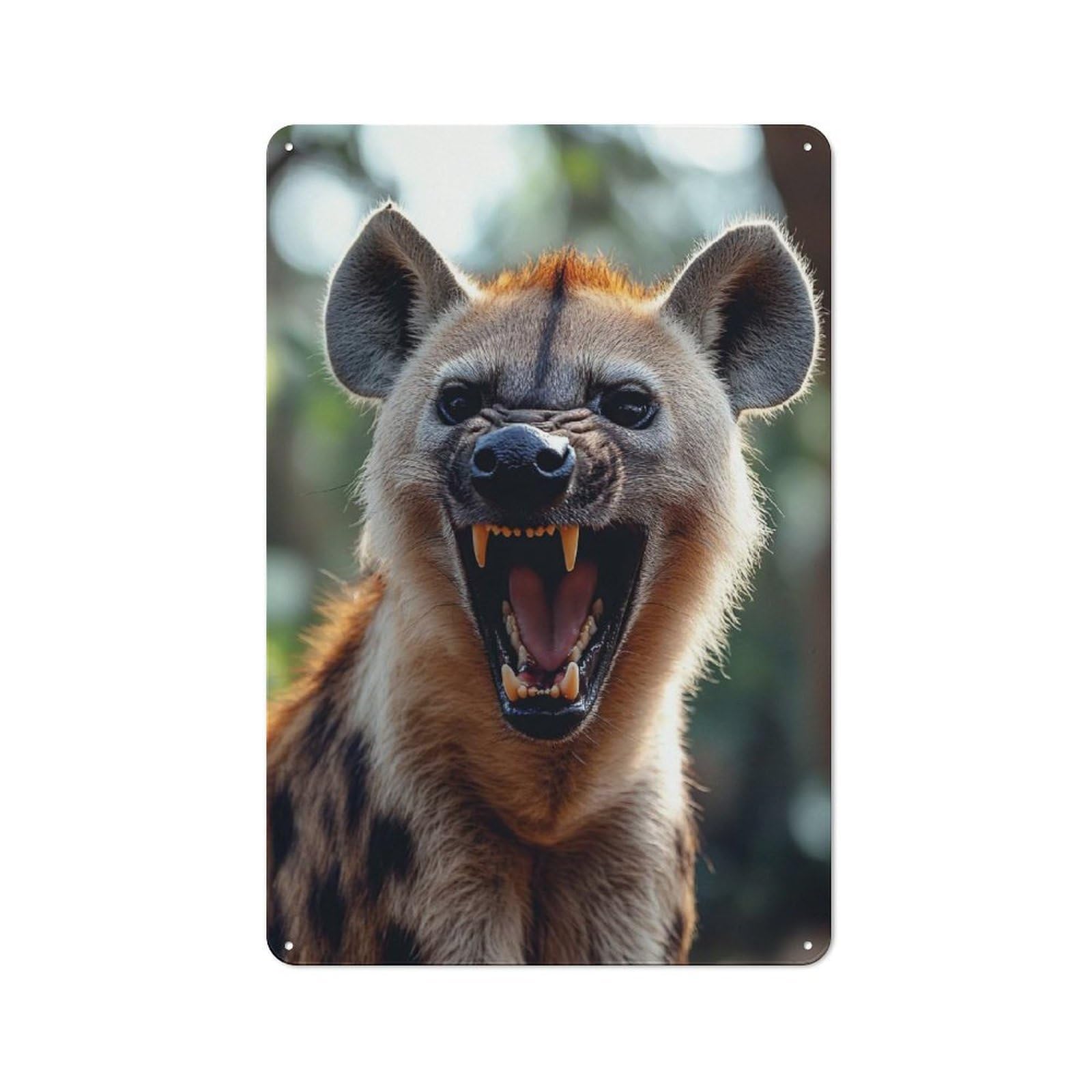 Junmoney Style-24 For Home Office Or Studio, Snarling Hyena Portrait Vintage Tin Sign 30X20cm, Tin Sign Wall Decor For Home Offices And Studios