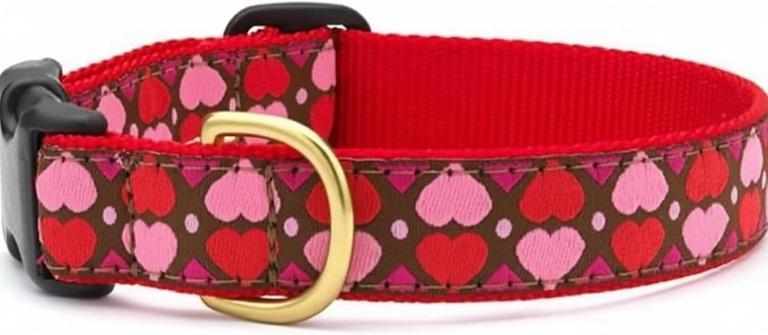 Up Country Valentine and Hearts Pattern Dog Collars and Leashes (All Hearts Dog Collar, Small (9 to 15 Inches) 1 Inch Wide Width)