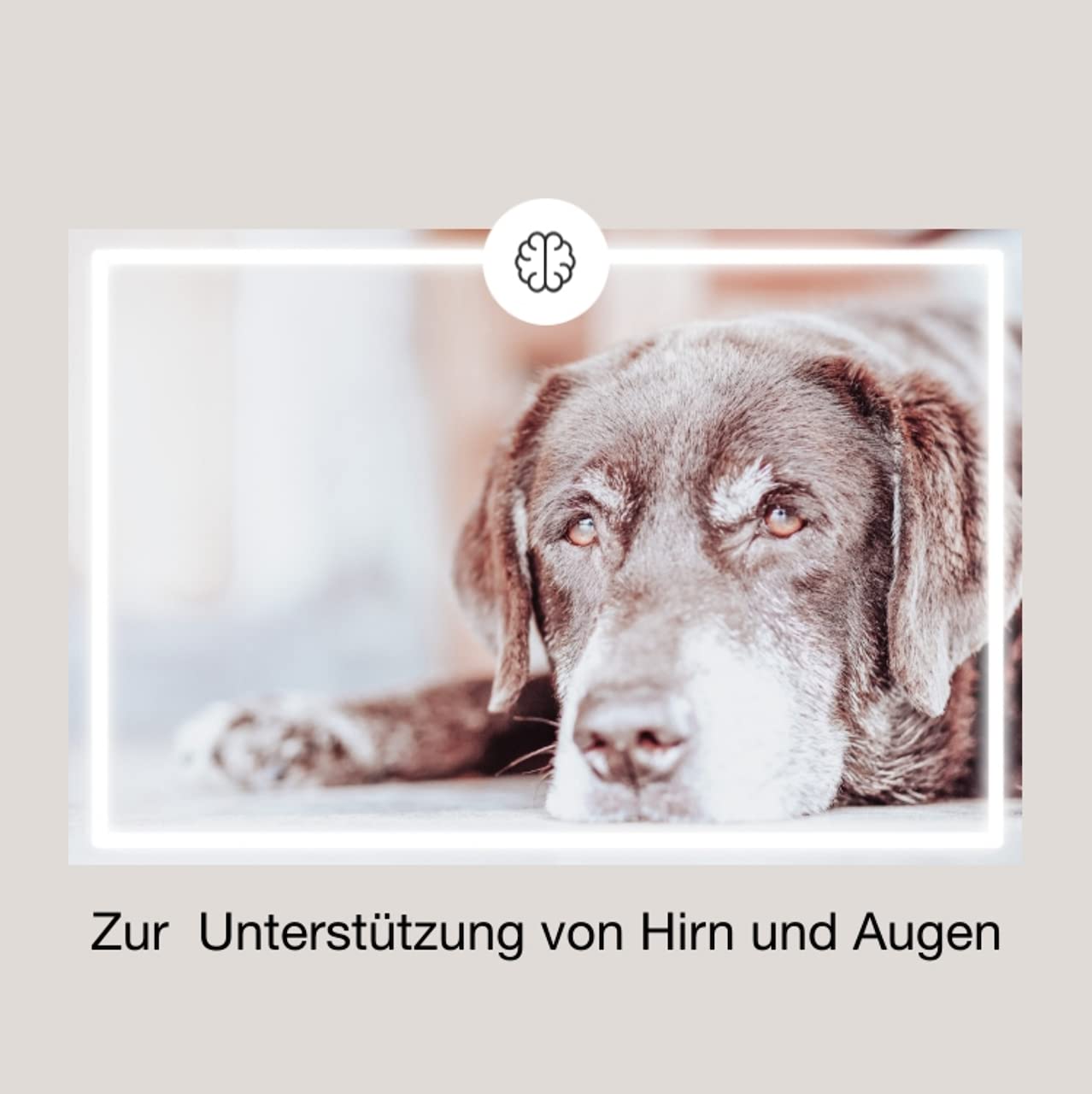 Senior Maxi 1Pckg. (100 Kapseln), Ergänzungsfuttermittel zur Versorgung von Augen und Gehirn im Alter mit DHA und Mikronährstoffen.