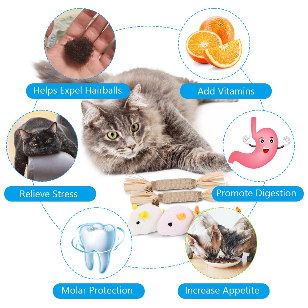 Matabi stokjes voor de kat 10 stuks - Trimsalon de Kattenvriendin